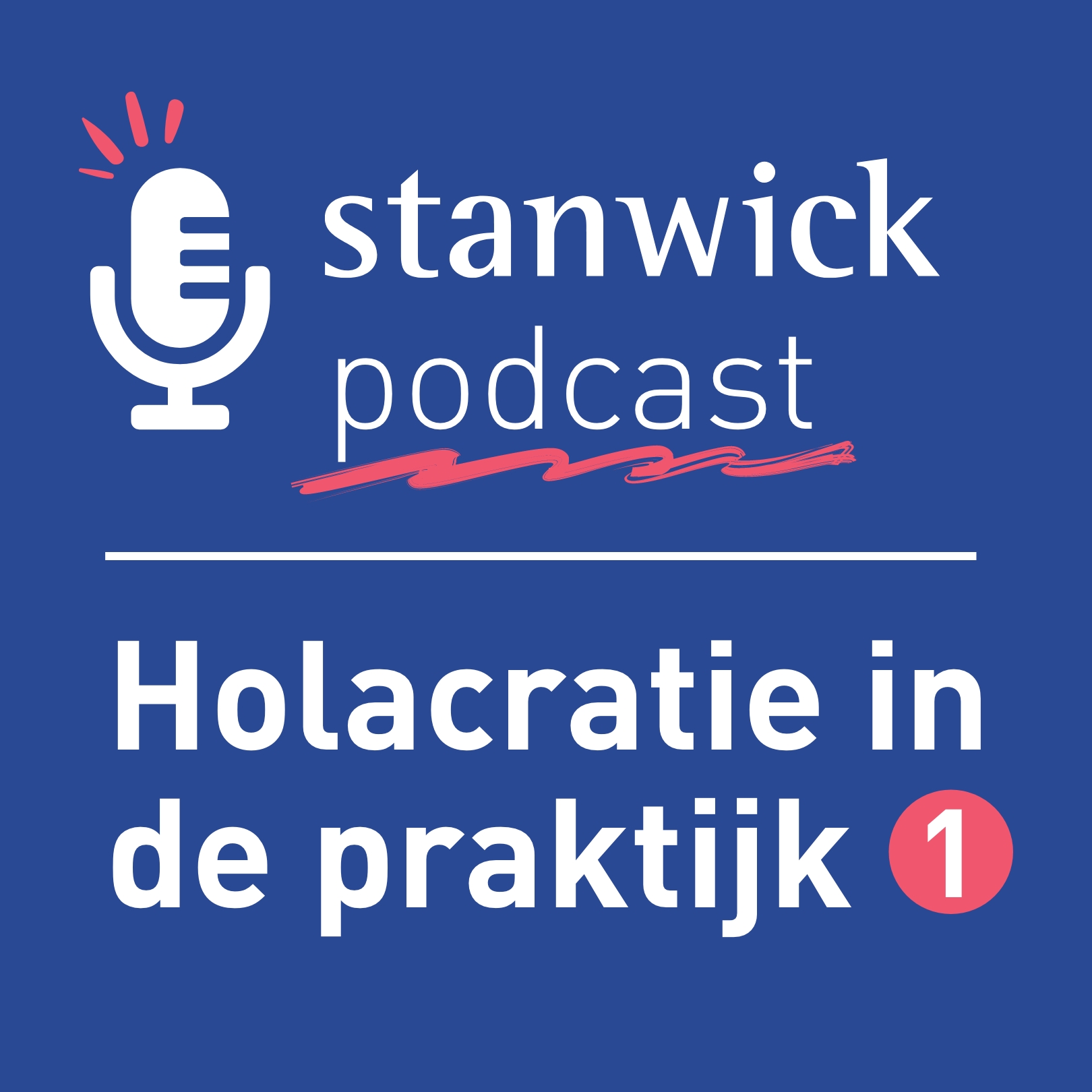 Holacratie in de praktijk