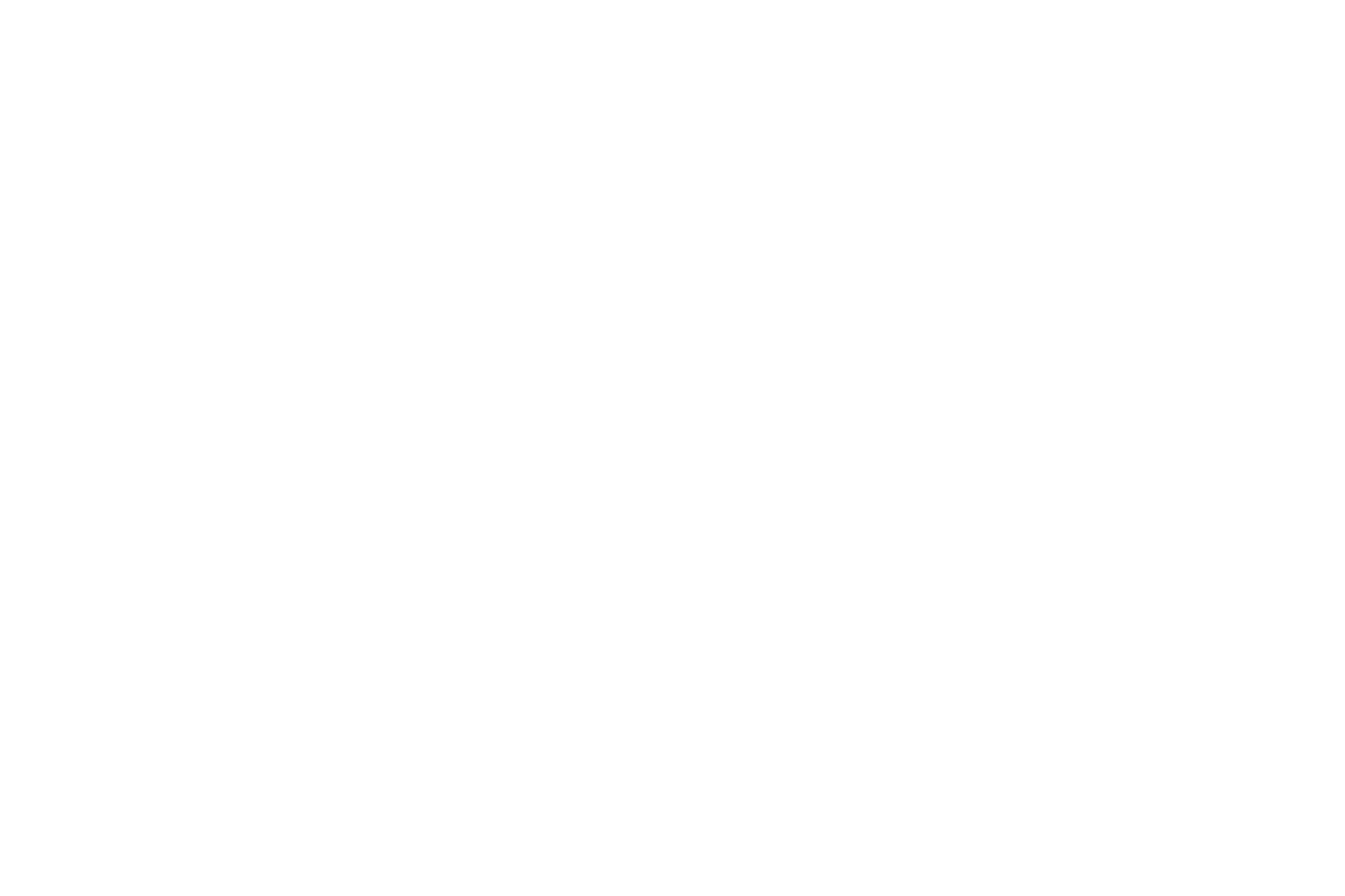 Nitto