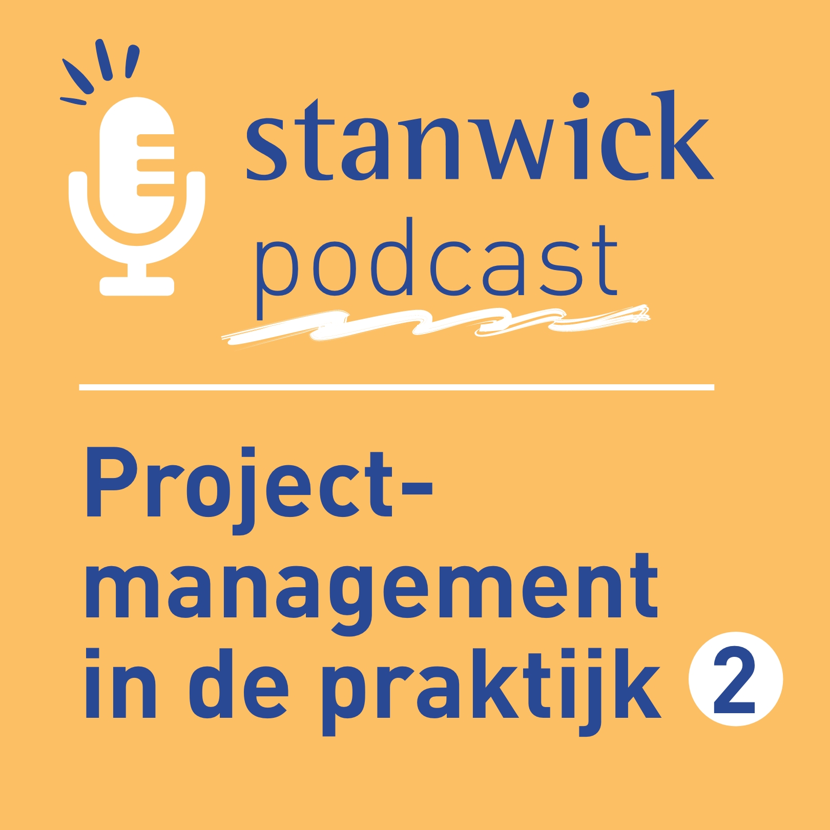 Projectmanagement in de praktijk 2