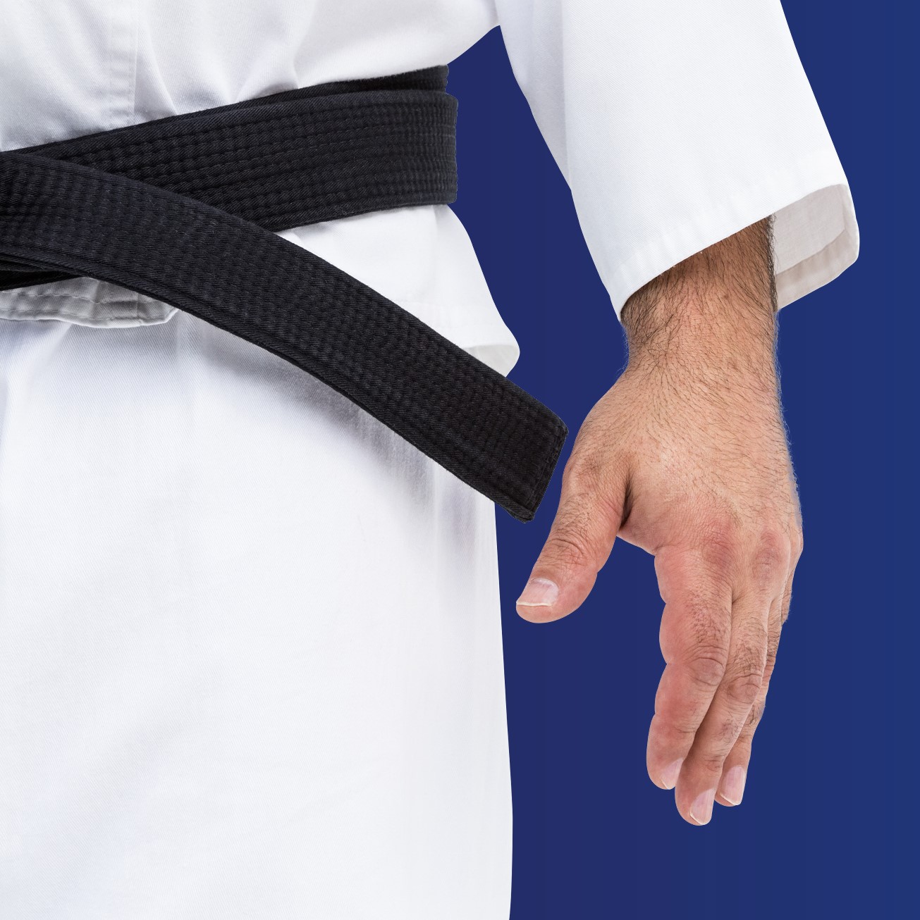 Black Belt Six Sigma