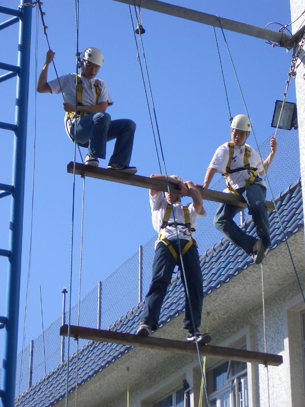 Over georganiseerd en harmonieus samenwerken …