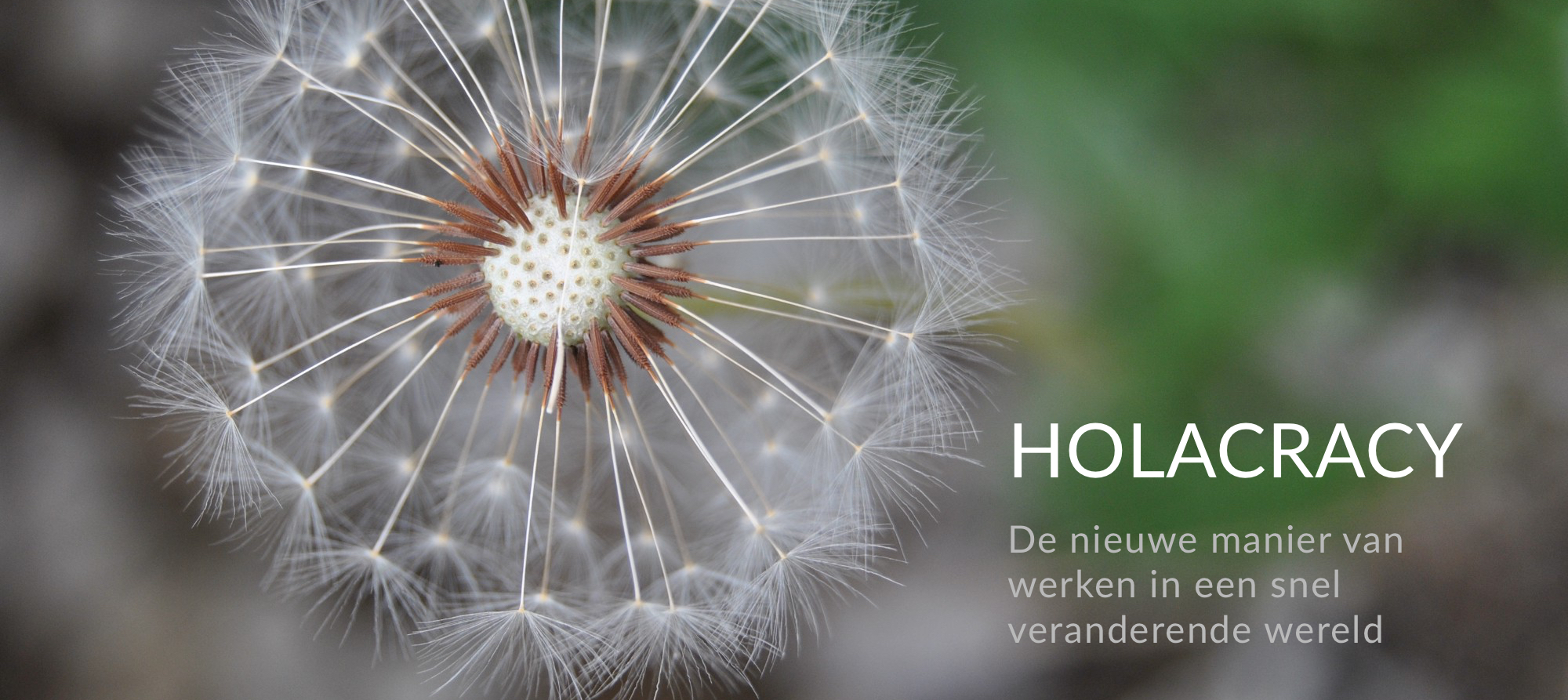 Holacracy ... de 6 evoluties 